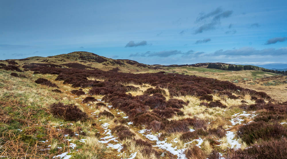 Naddle High Forest Naddle High Forest